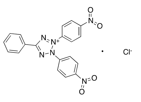 2,3-Bis(4-nitrophenyl)-5-phenyltetrazolium Chloride
