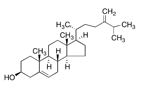 24-Methylenecholesterol-3-Sulfate Sodium