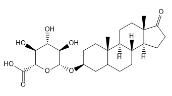 Epi androsterone-beta-glucuronide