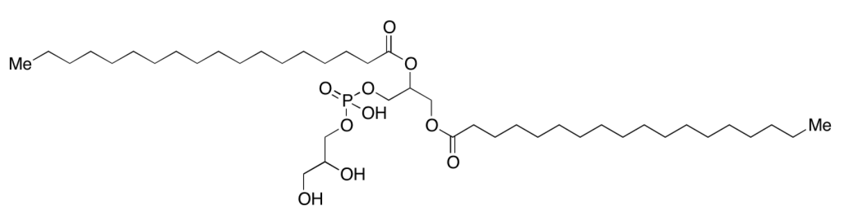 Diastearoyl phosphatidylglycerol