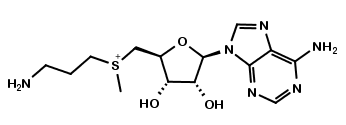 S-Adenosylmethioninamine