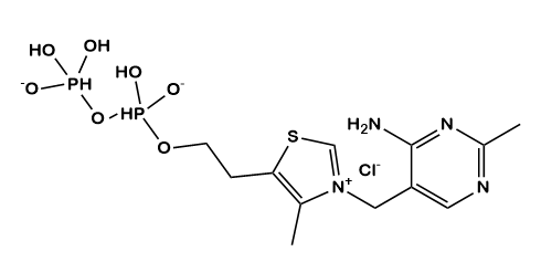 Thiamine Diphosphate