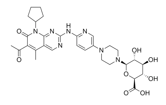 Palbociclib N-Glucuronide