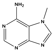 7-methyl adenine