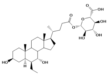 Obeticholic Acid-24-Glucuronide