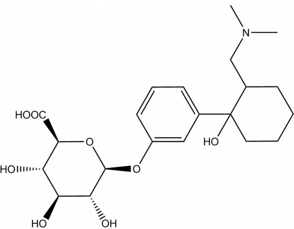 O-Desmethyltramadol-beta-D-glucuronide