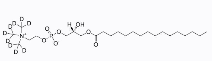 1-Palmitoyl-sn-glycero-3-phosphocholine D9