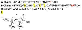 Insulin Glargine-[13C6 15N Leu]4