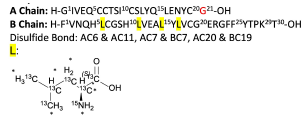Insulin Glargine Metabolite M1-[13C6 15N Leu]4